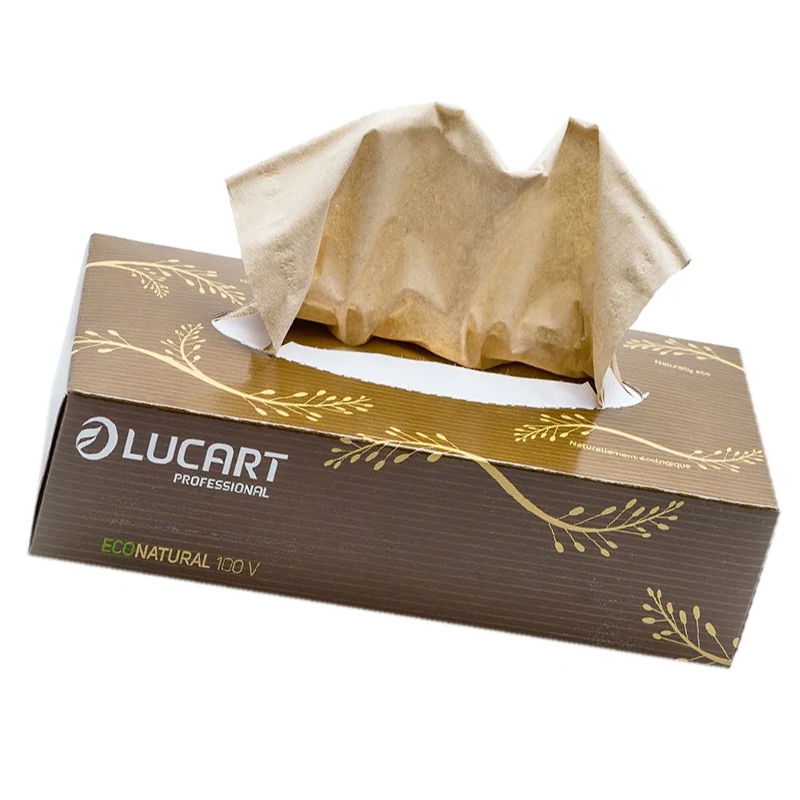 Lucart Kosmetiktücher Econatural 2-lagig