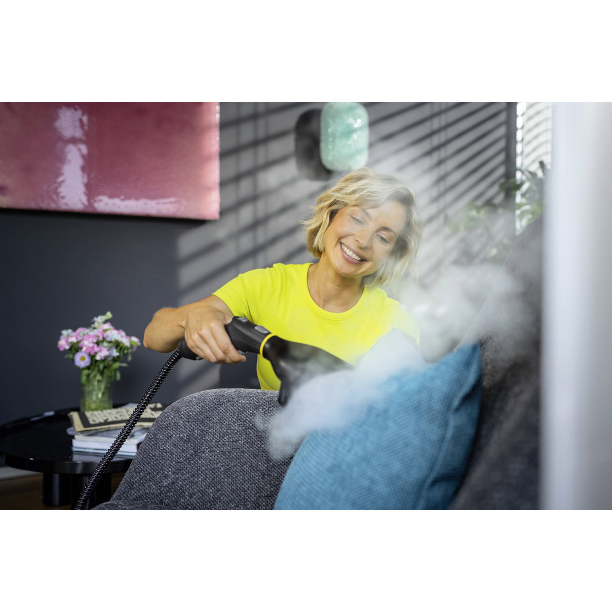 Staubsauger, Handstaubsauger, Sofa, Wohnzimmer, Steam