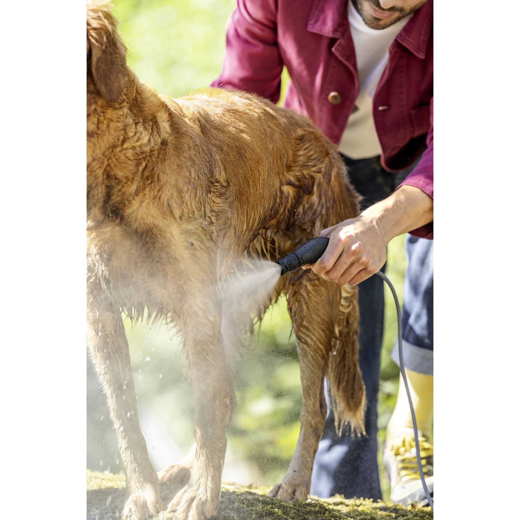 Hund, Waschen, Nass, Pflege, Gartenarbeit