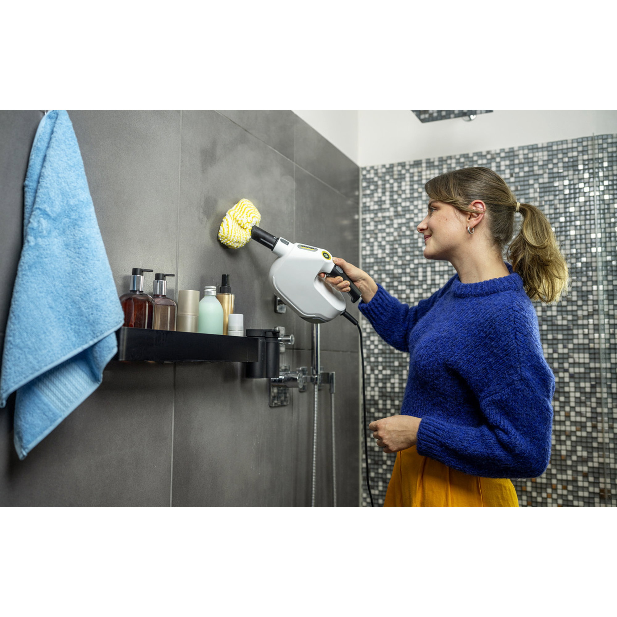Putzmittel, Dampfreiniger, Waschmittel, Reinigungsgerät, Handheld-Pflege