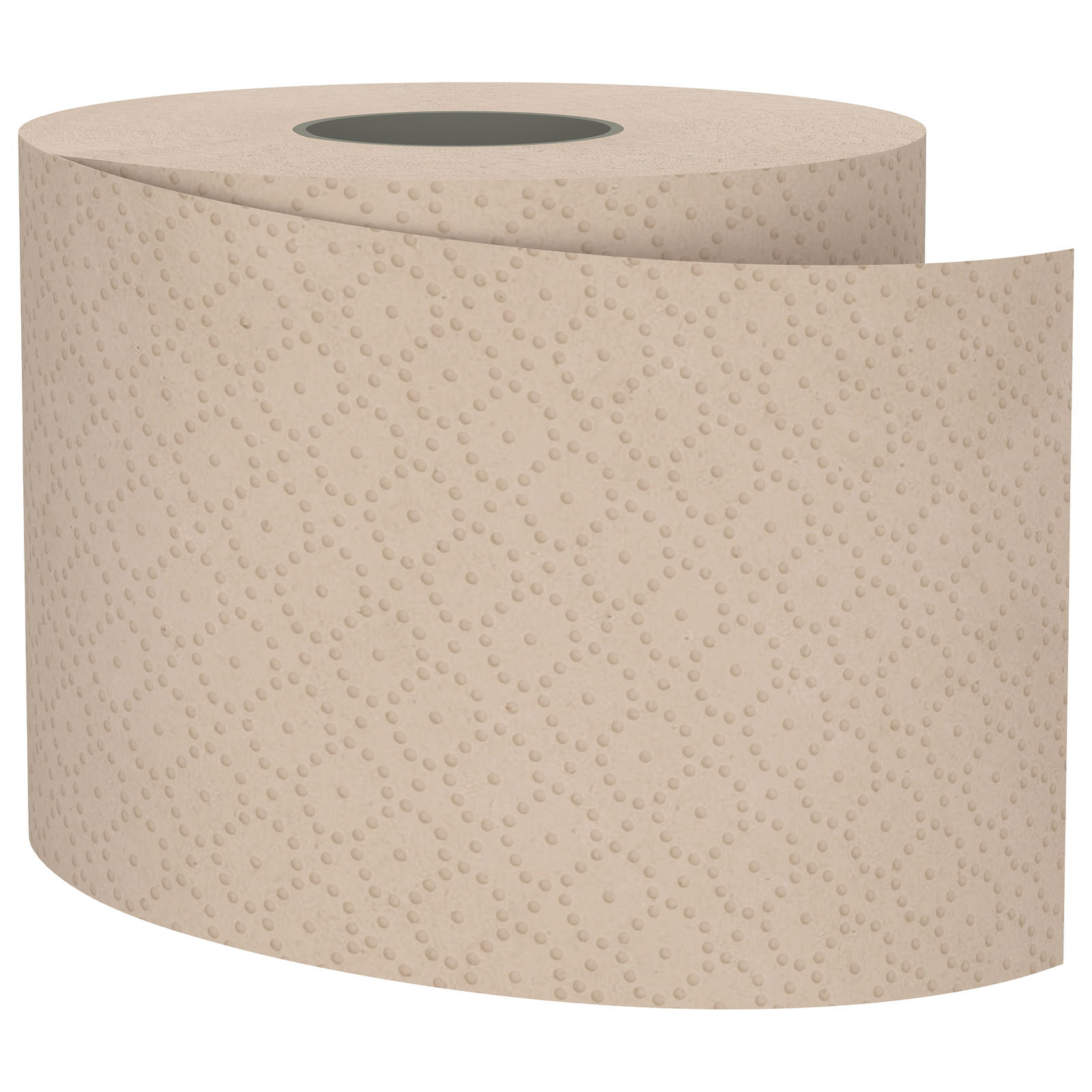 Satino PureSoft 076970 Toilet Paper 3-Ply Recycled 250 Sheets