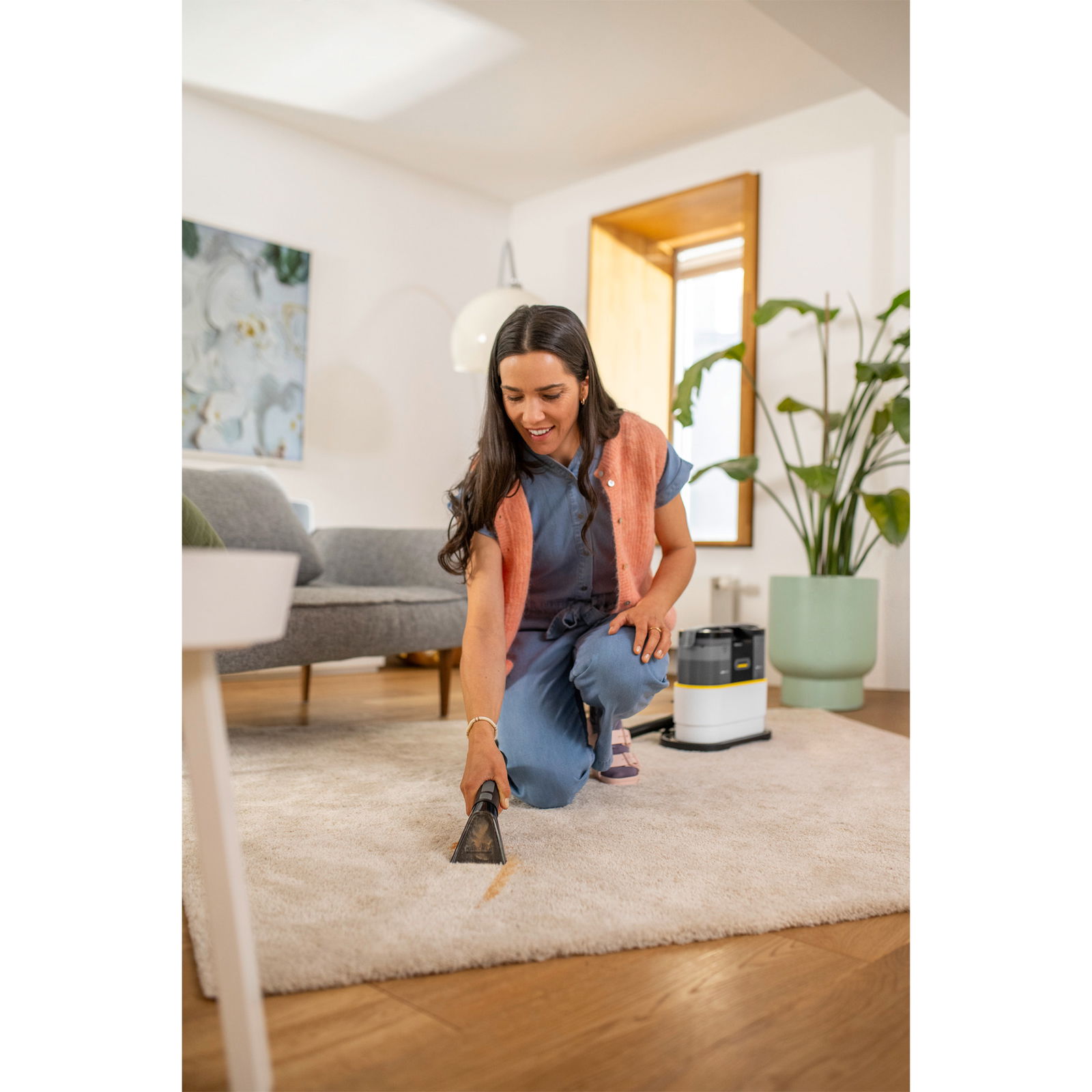 Waschsauger Kärcher SE 3 SPOT CARE