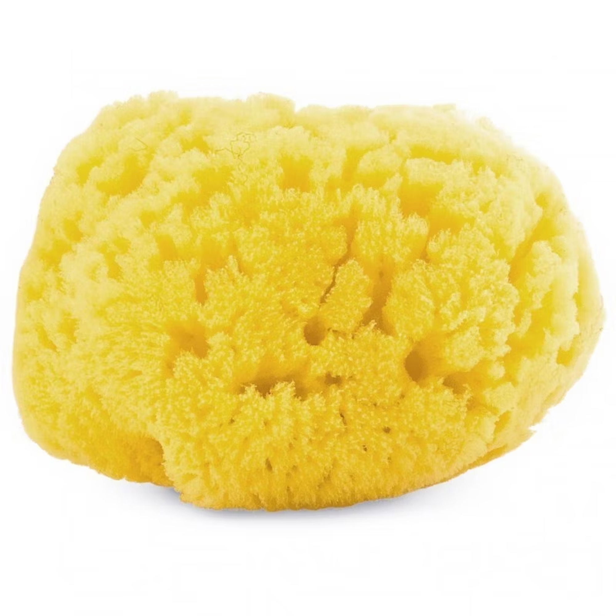 Waschschwamm für Babys | Chicco