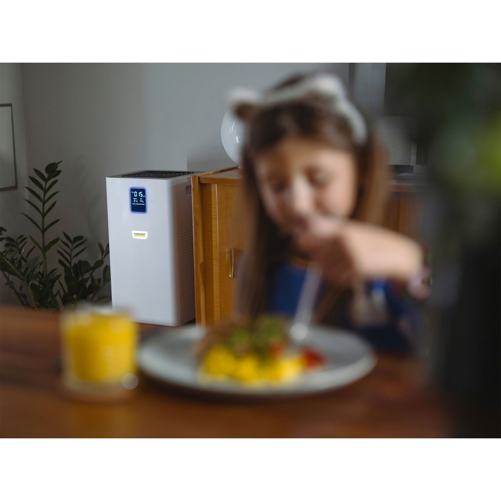 Purificateur d’air Kärcher AF 50