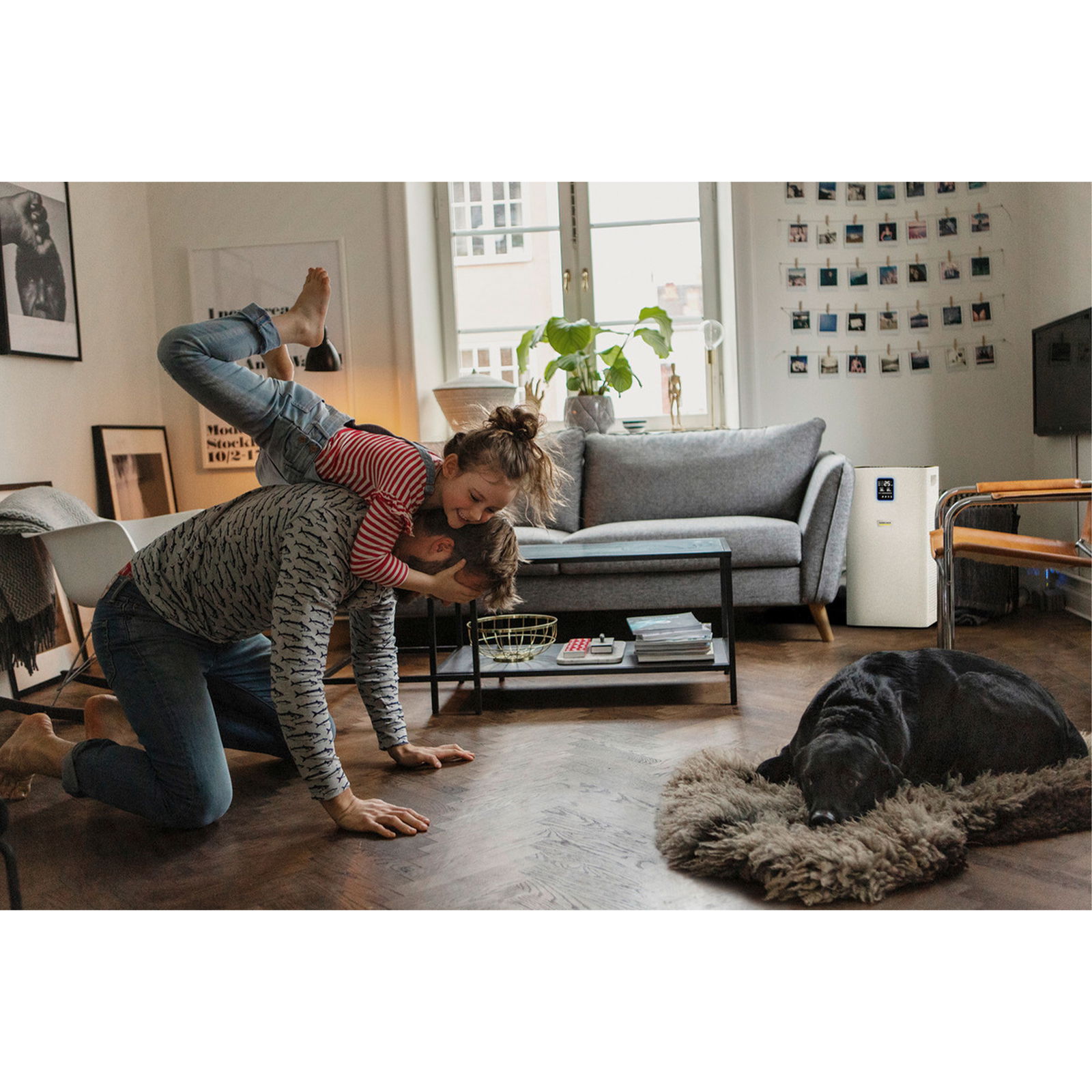 Purificateur d’air Kärcher AF 50