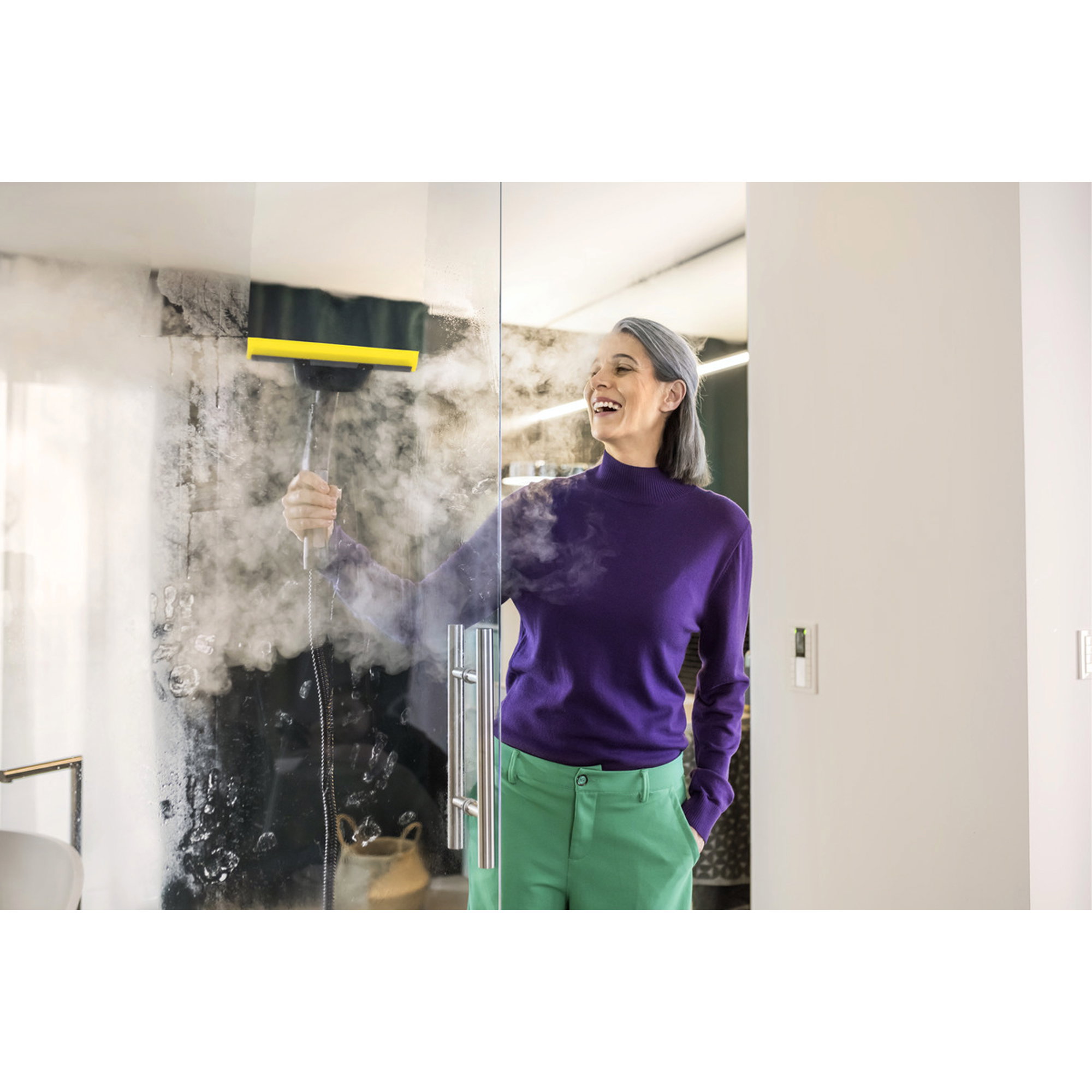 Gewächshaus-Glasreiniger, Fensterreiniger, Thermokammer, Steam, Glasreinigung