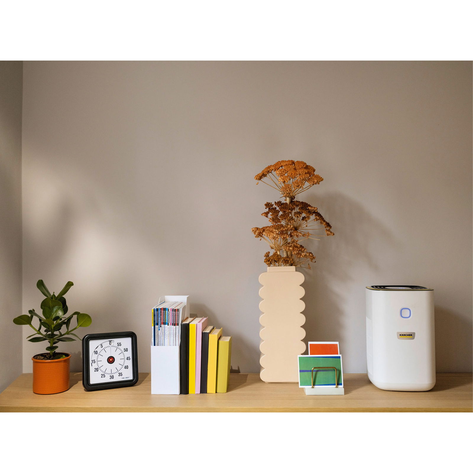 Air Purifier Kärcher AF 20