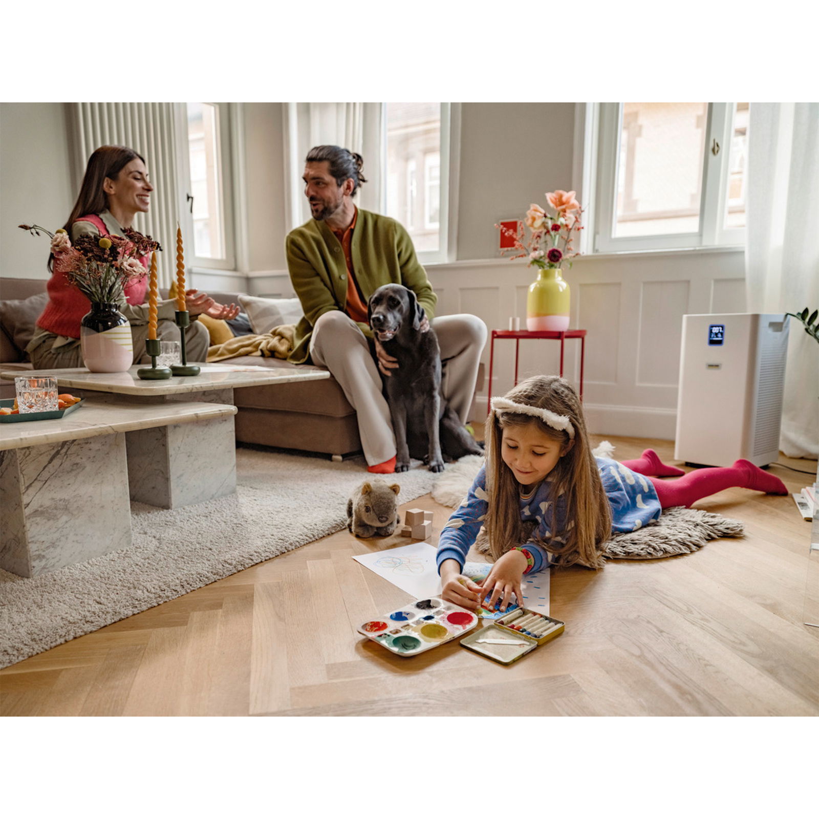 Purificateur d’air Kärcher AF 50