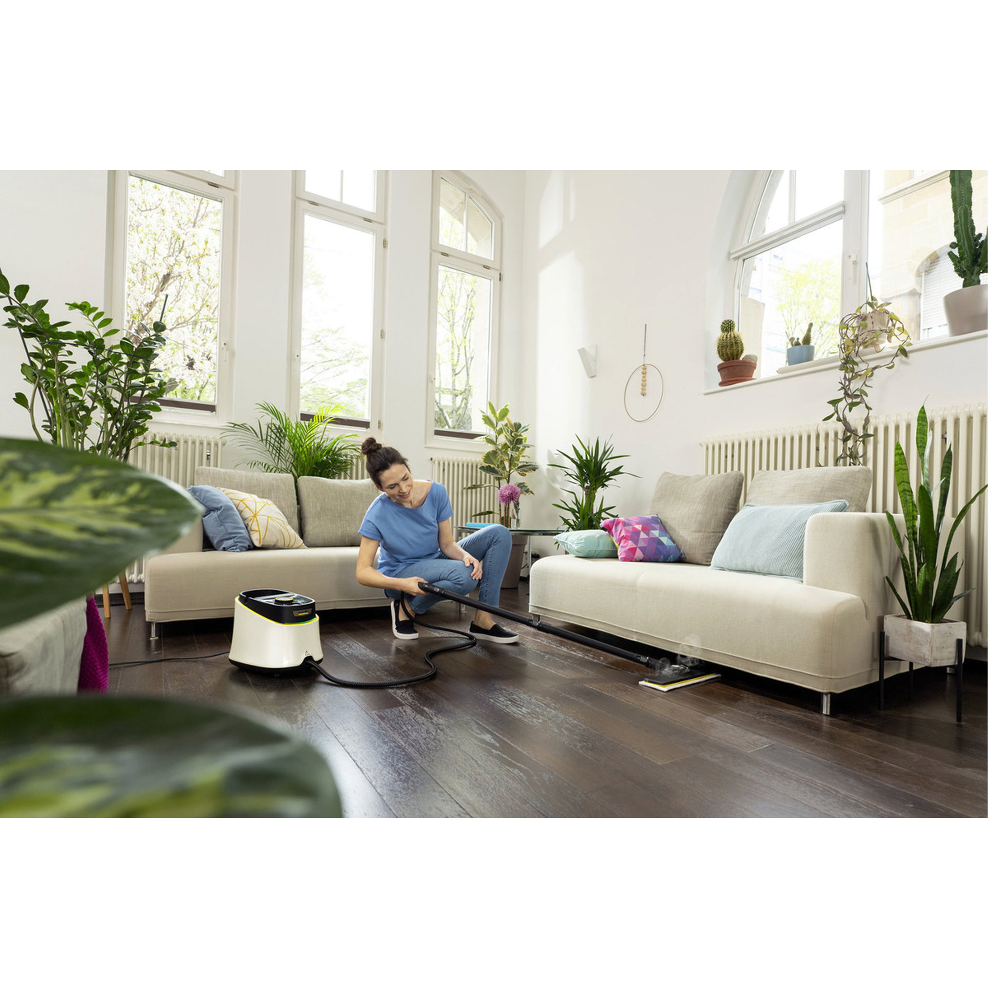 Dampfreiniger, Wohnzimmer, Pflanzen, Sofa, Reinigungsgerät