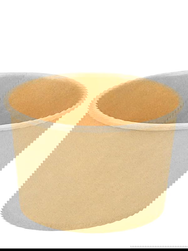 Bio Schale aus Pappe