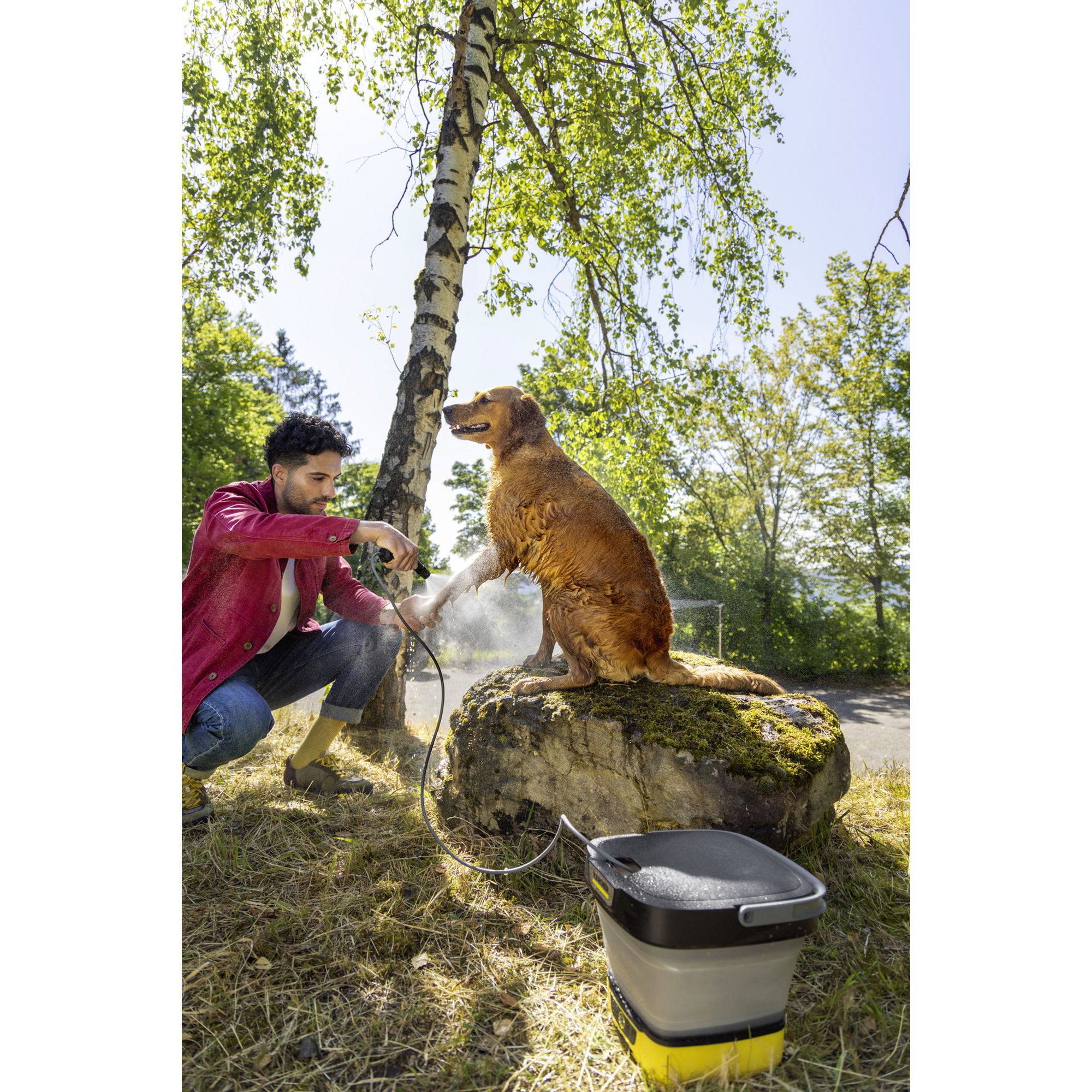 Hund, golden retriever, Hundewäsche, Wasserspray, Draußen