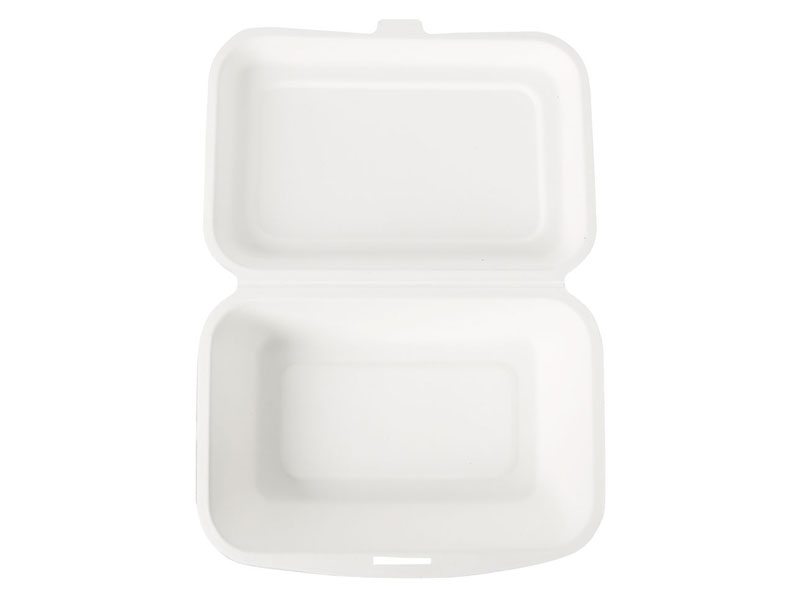 Bio Take-Away-Box "Single" Zuckerrohr