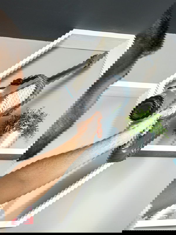 Numatic Quick Staubsauger