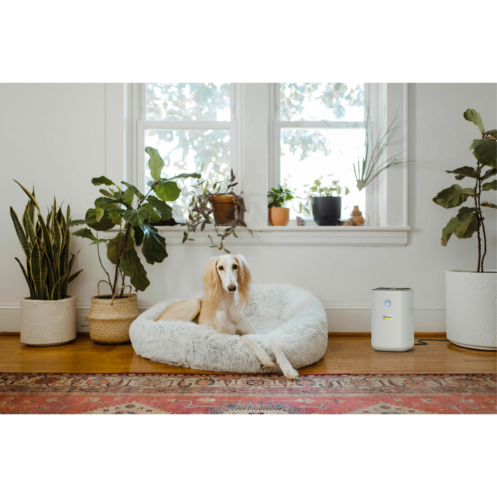 Air Purifier Kärcher AF 20