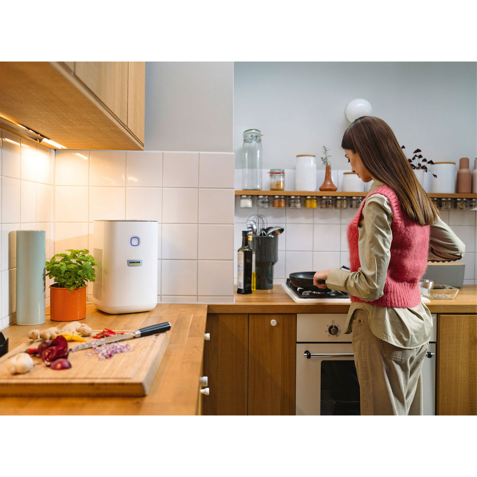 Air Purifier Kärcher AF 20