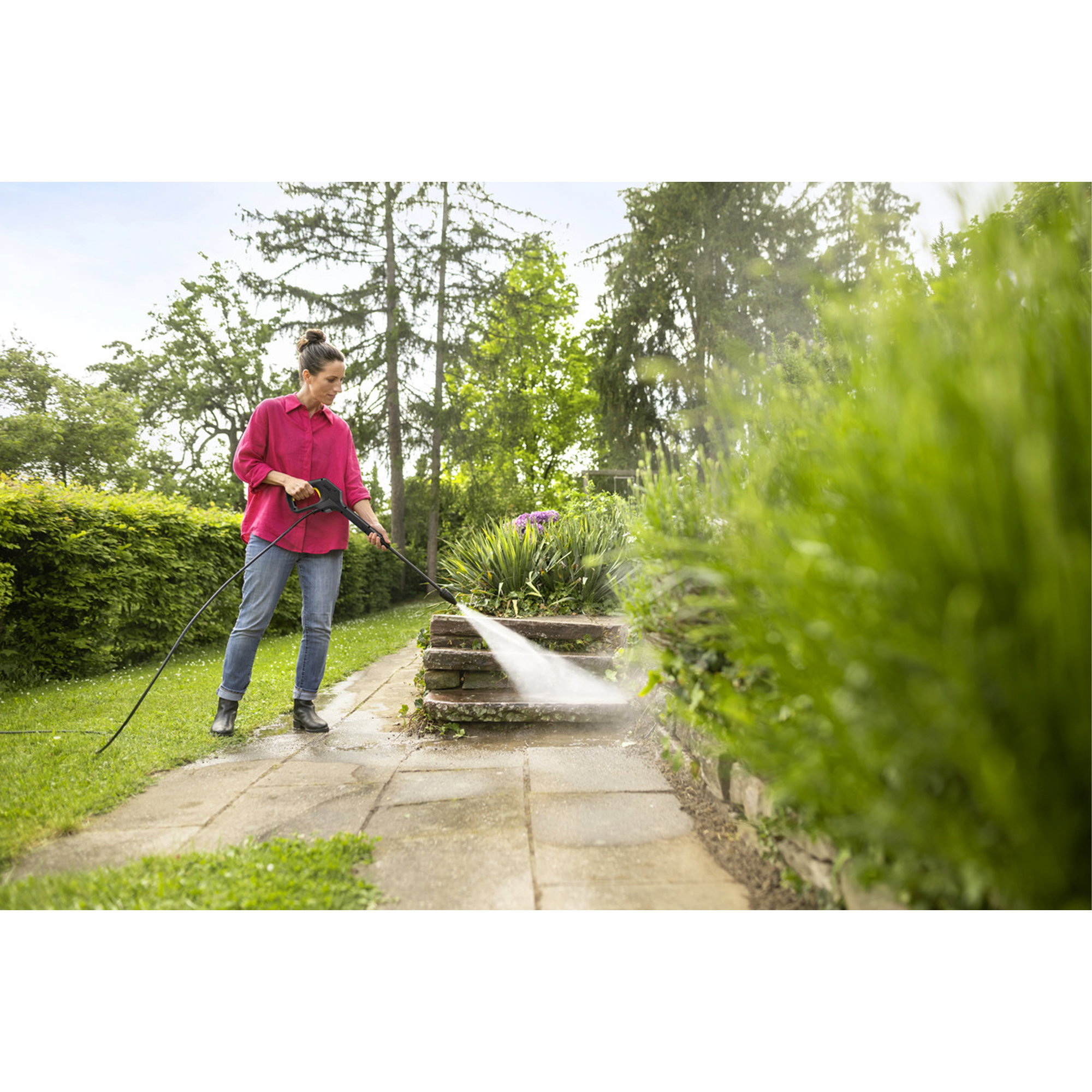 Garten, Hochdruckreiniger, Person, Gartenpflege, Pflanzenpflege