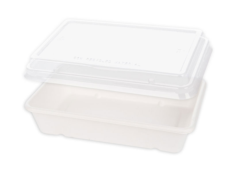 Bio Schale Classico Zuckerrohr