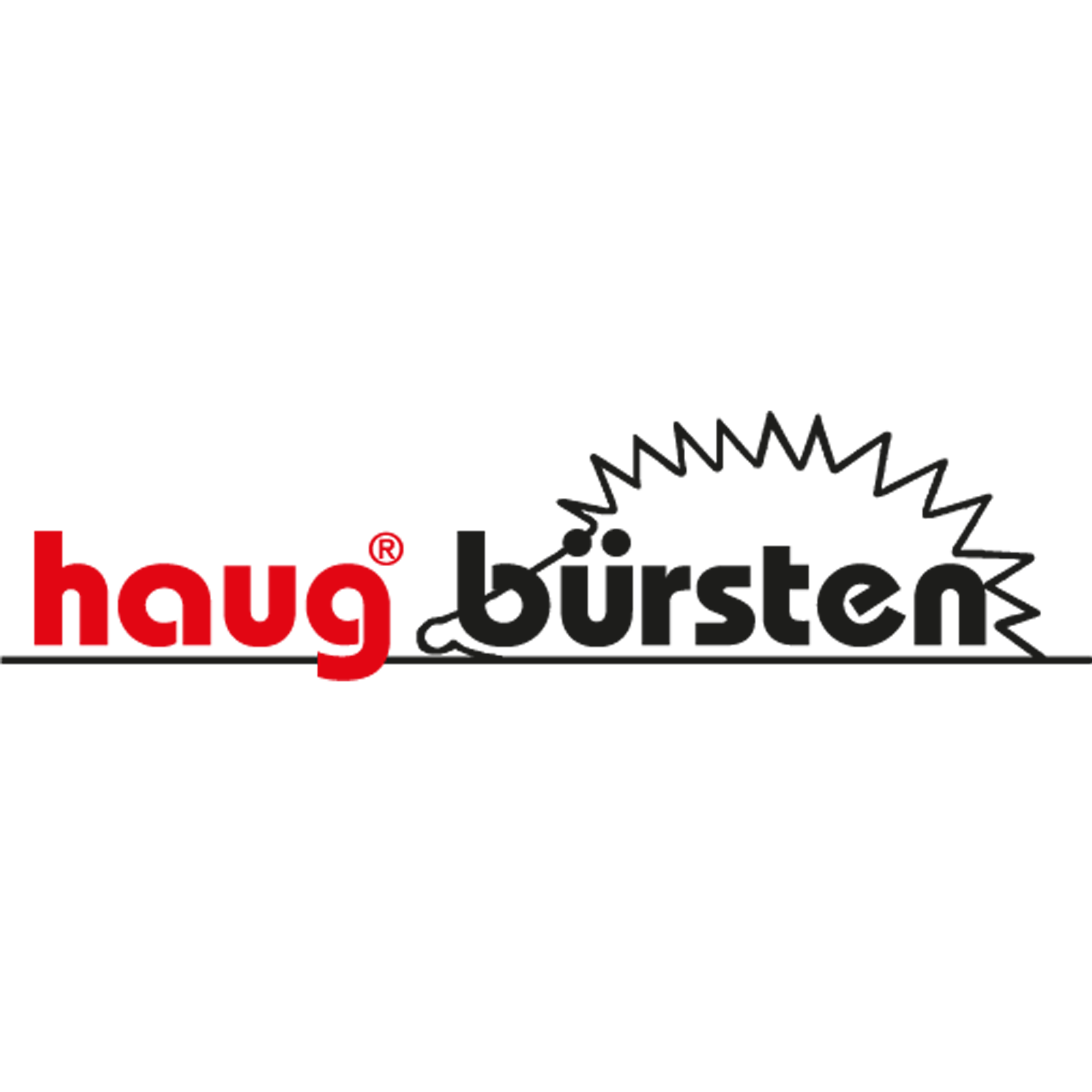 haug bürsten