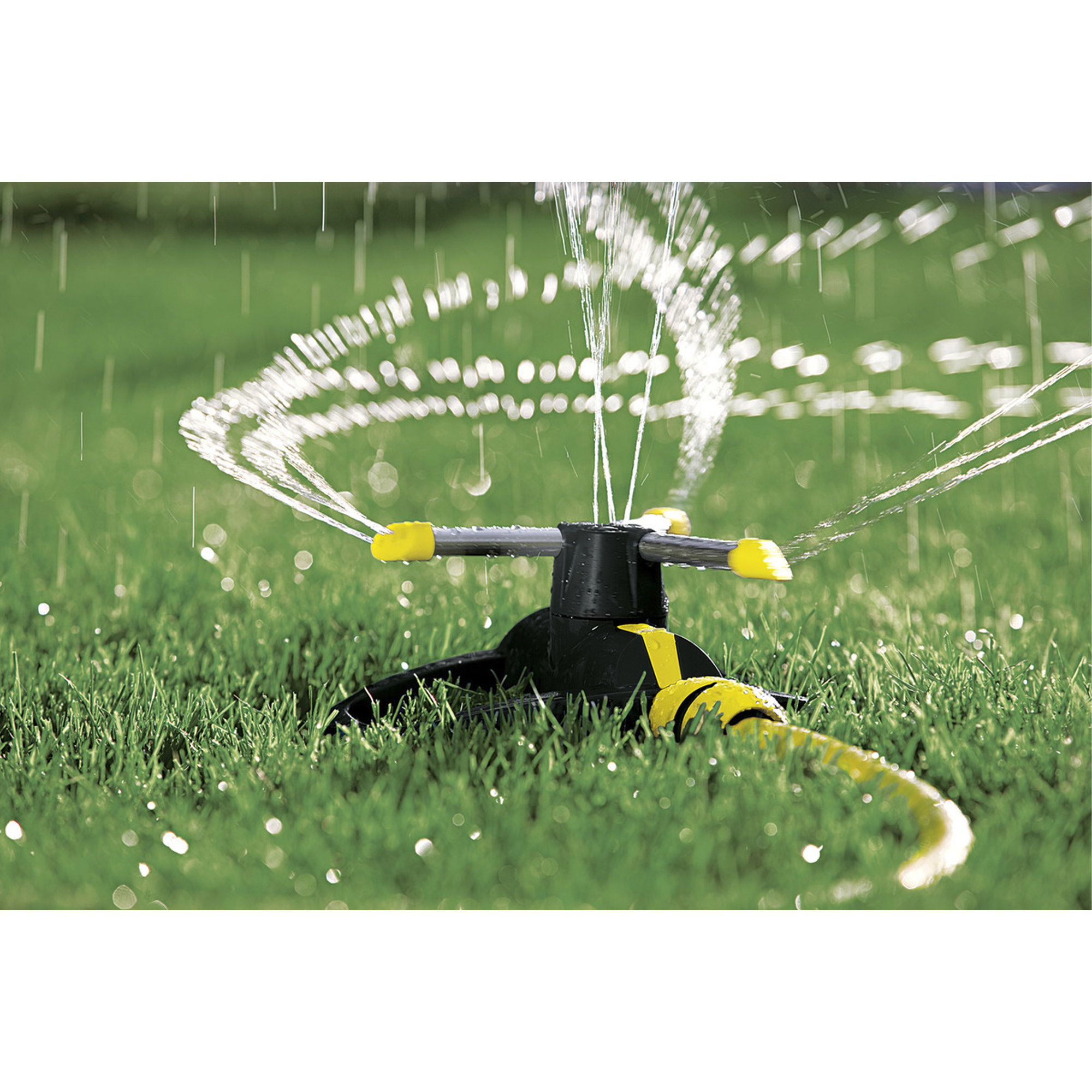 sprinkler,  irrigation,  sprinkler system,  lawn,  hose