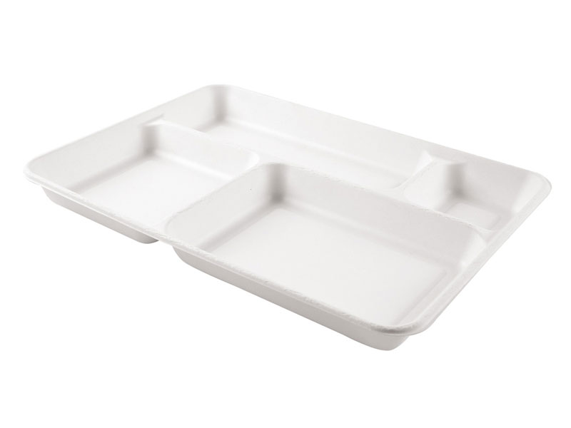Bio Tablett 4-geteilt Zuckerrohr