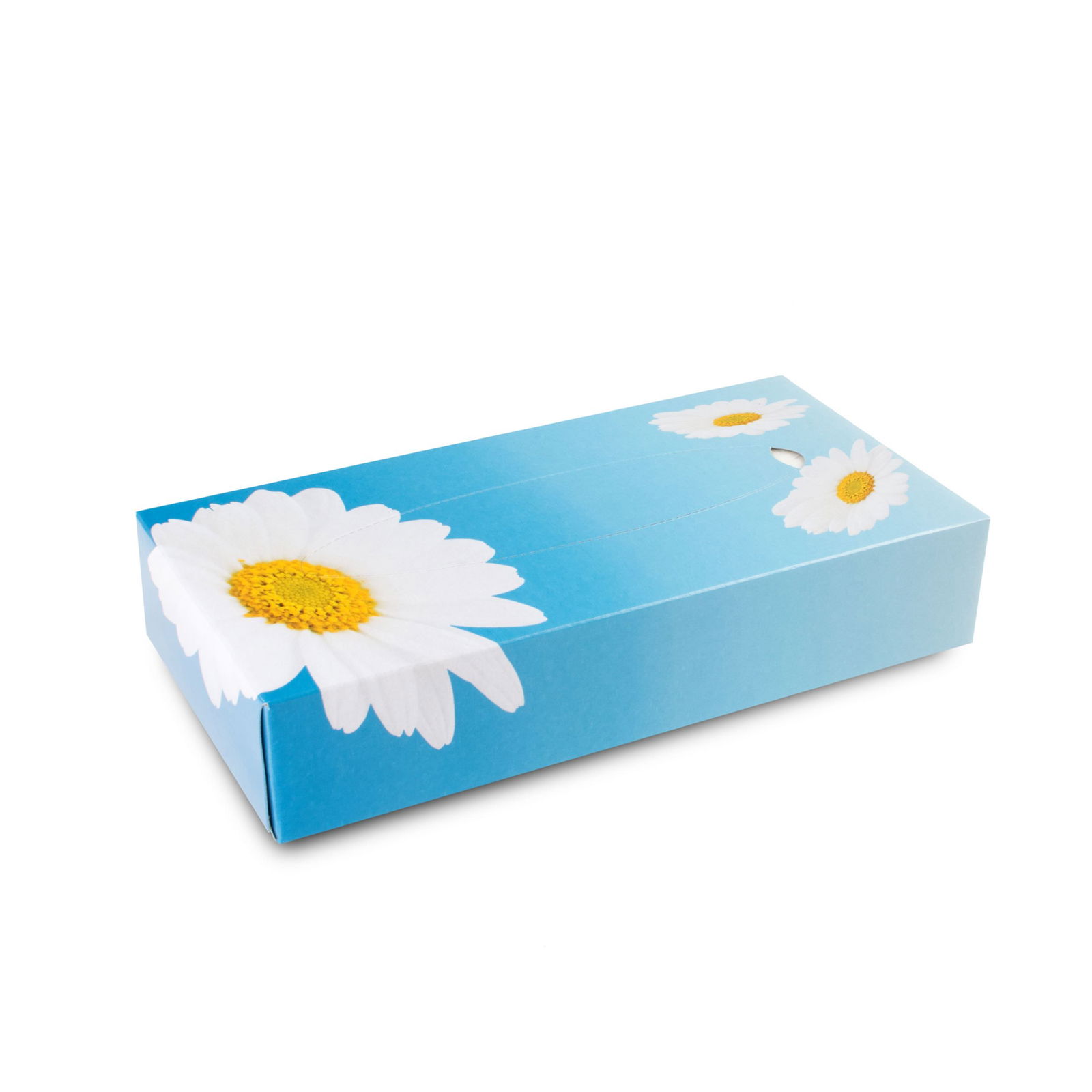 Funny AG-052 Kosmetikboxen 2-lagig Zellstoff 40 Boxen