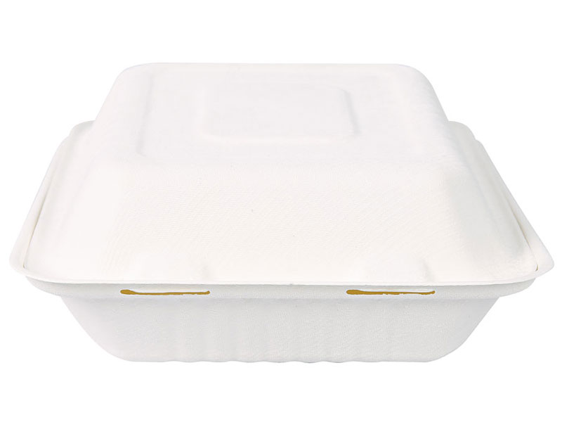 BIO Take-Away-Box "Triple" Zuckerrohr