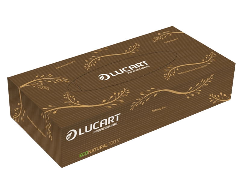Lucart Kosmetiktücher Econatural 2-lagig