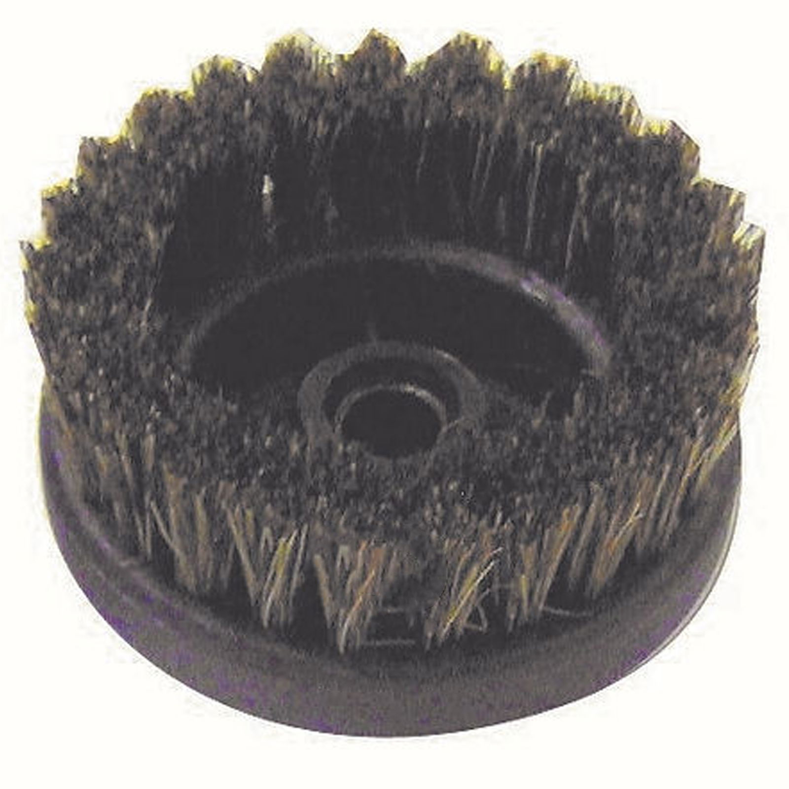 Rundbürste 60 mm mit Pferdehaar Borsten für DAMPF DRACHE