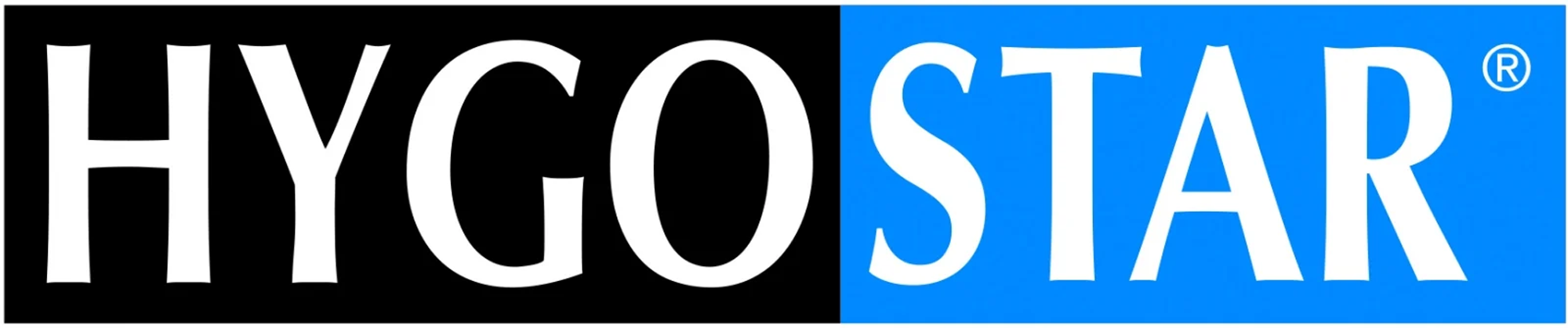 logo, HyGoStar, branding, zweiFarben, blau-schwarz