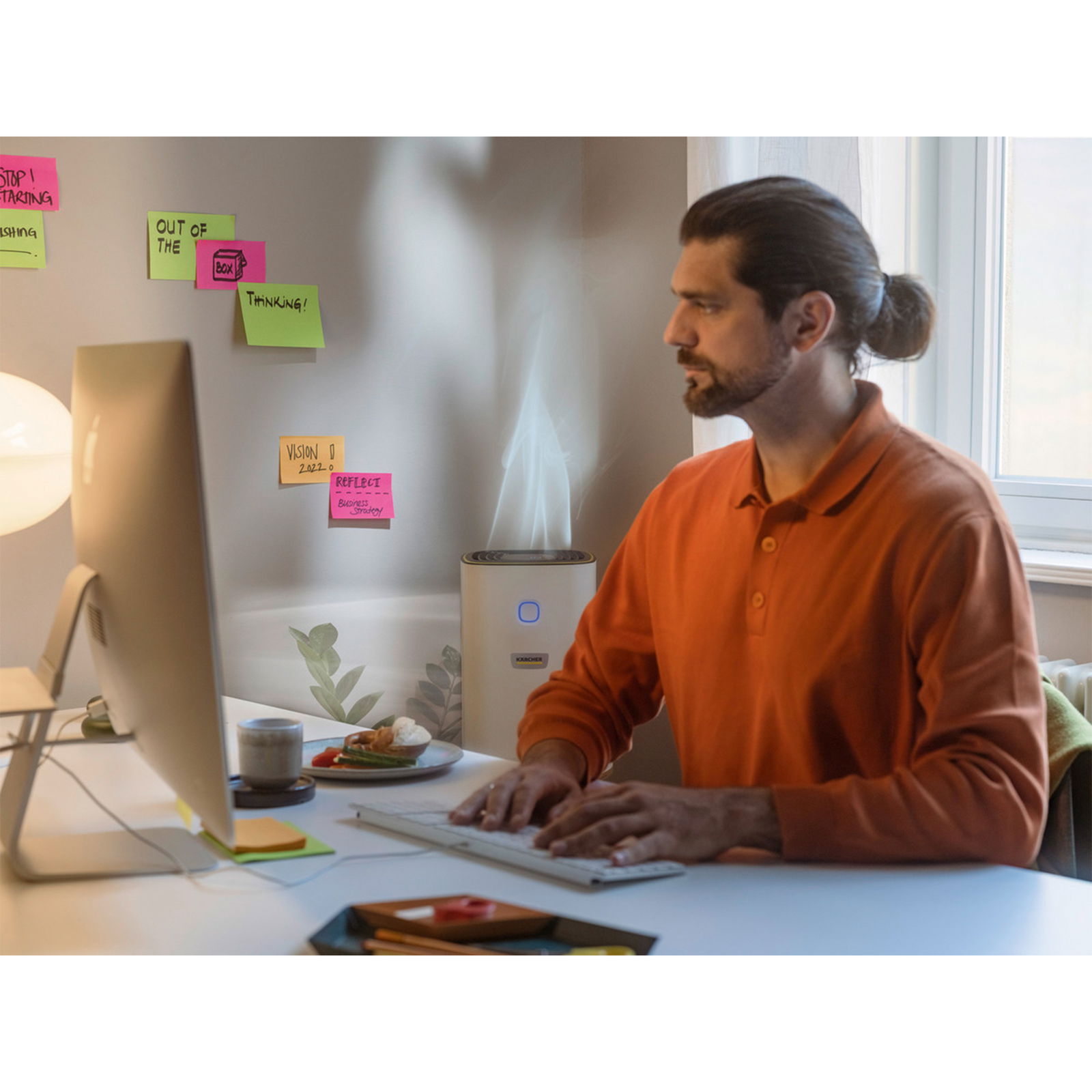 Air Purifier Kärcher AF 20