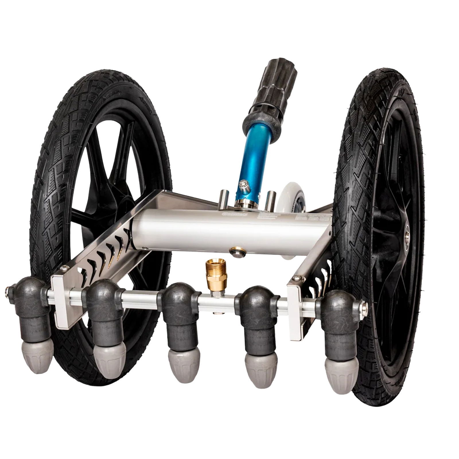 Flechtenentferner Cleantecs