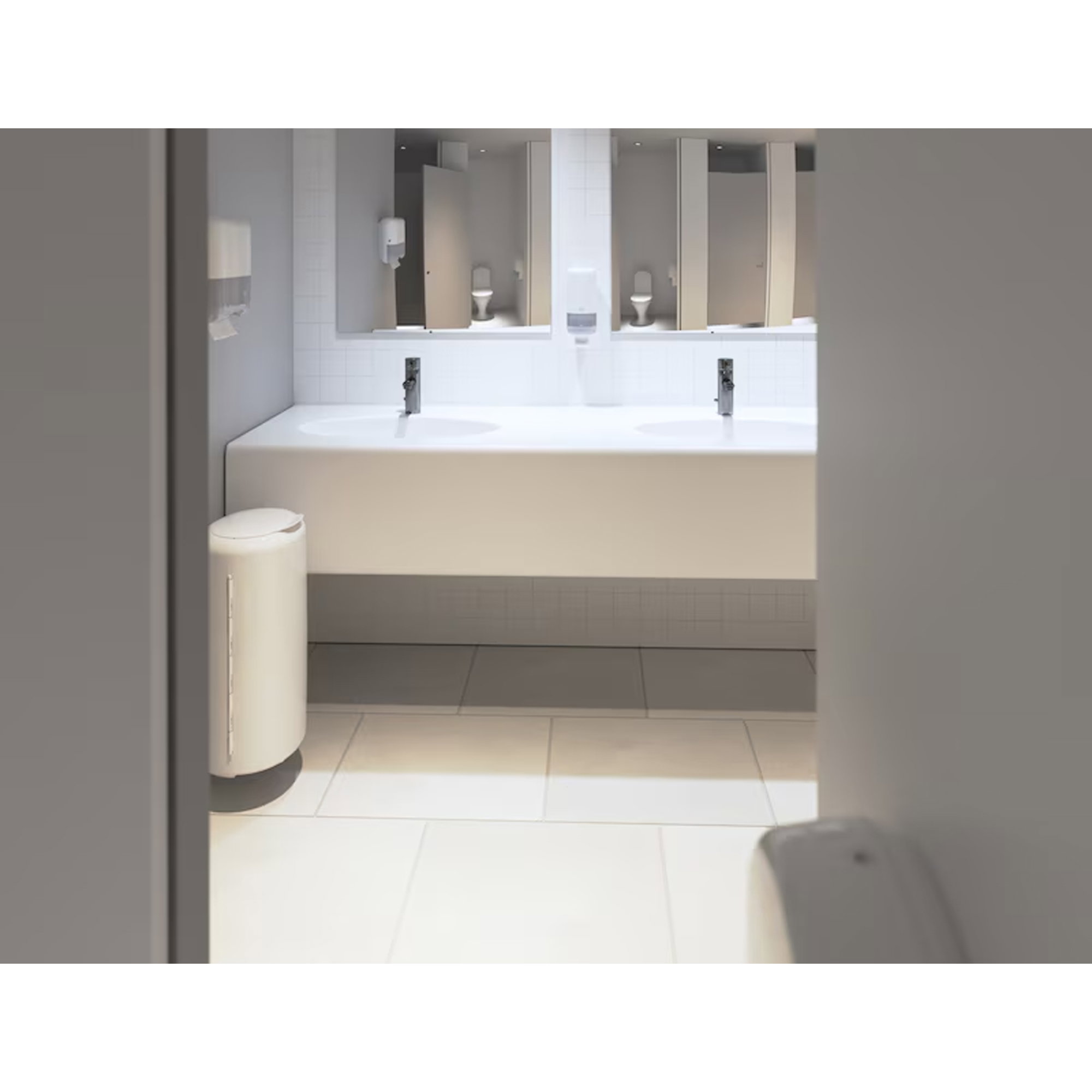 toilet sink, double sink, white, mirror cabinet, bathroom scene