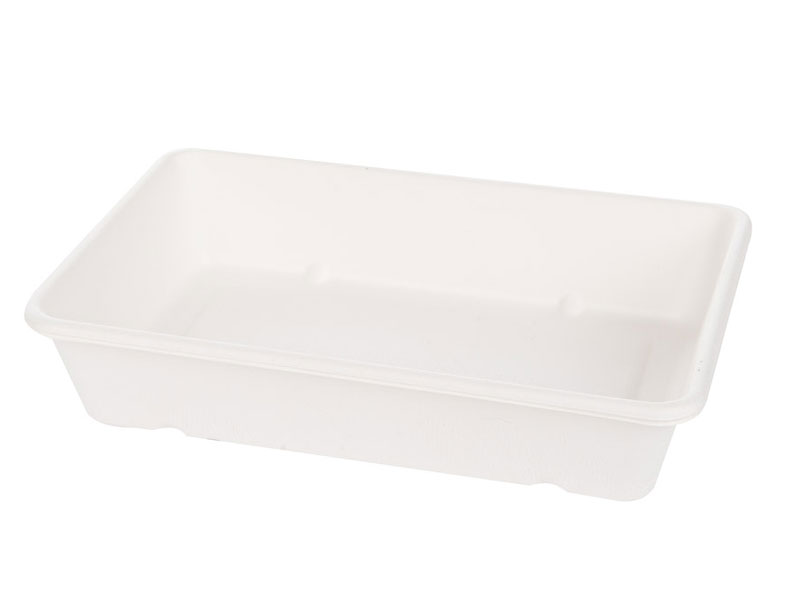 Bio Schale Classico Zuckerrohr