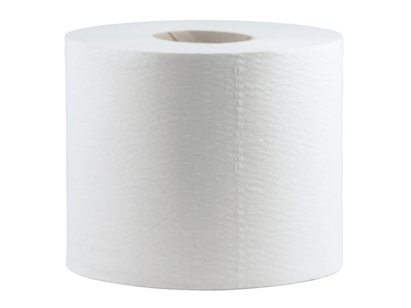 CWS Toilettenpapier Basic Recycling 2-lagig