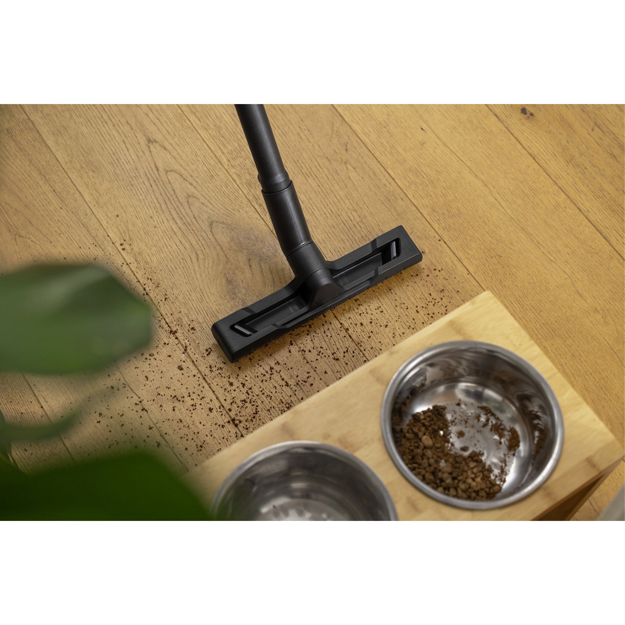 Staubsauger, Bodenreinigung, Futterstelle, Katzenfutter, Bodenstaubensammler