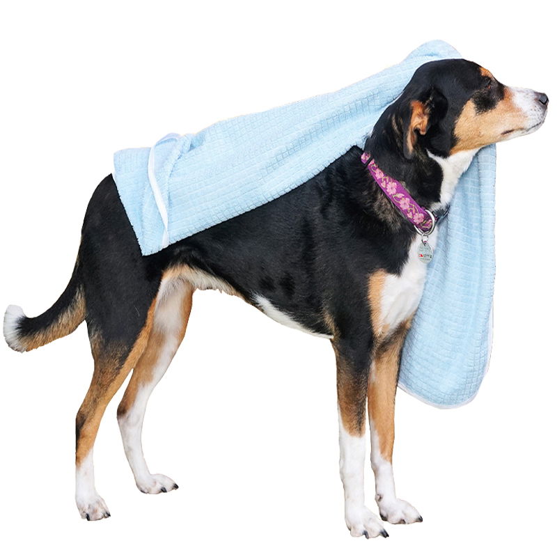 Microfasertücher für Hunde