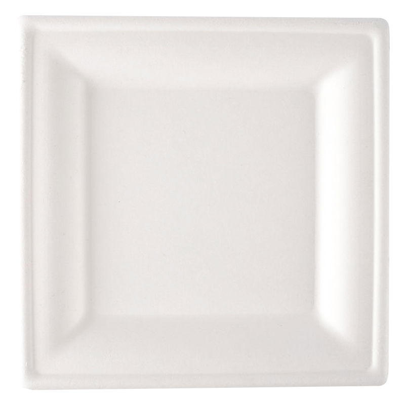 Teller Zuckerrohr quadratisch