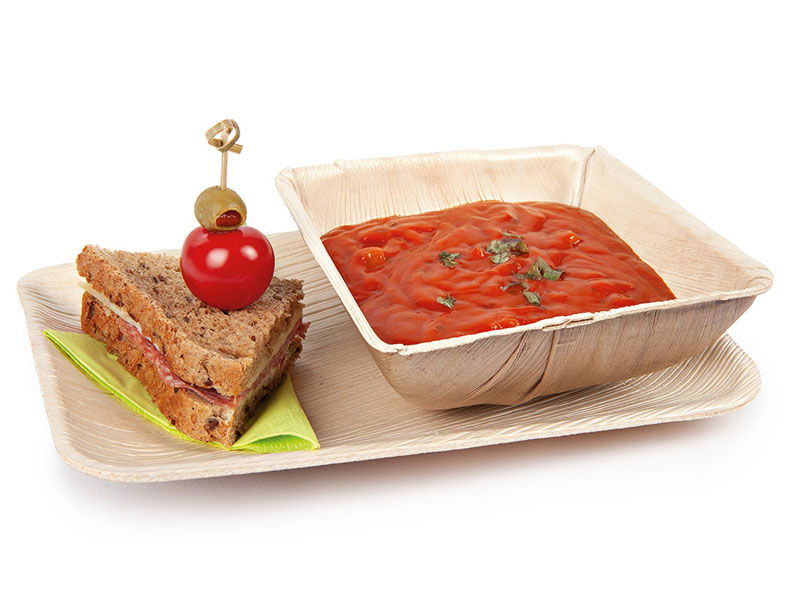 Bio Teller rechteckig Palmblatt