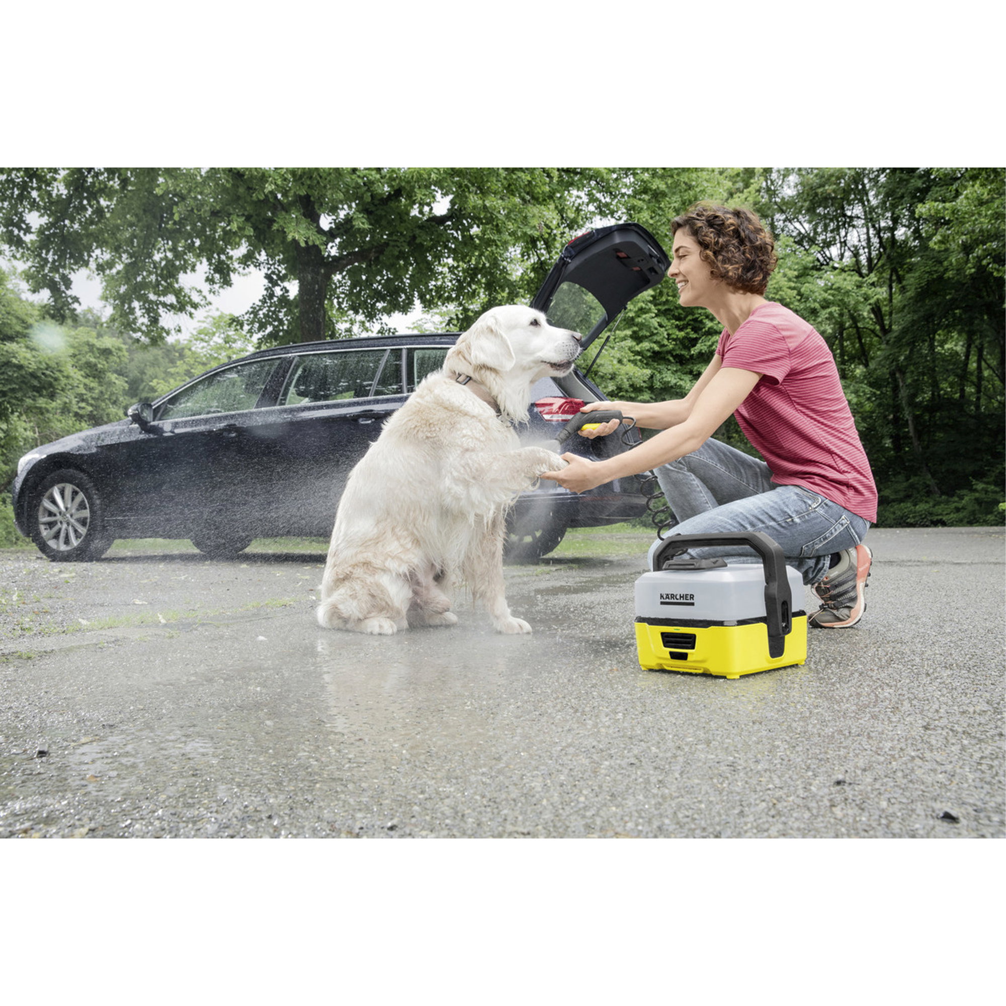 Hund, Hundeausrüstung, Waschmaschine, Kärcher, gelb-schwarz