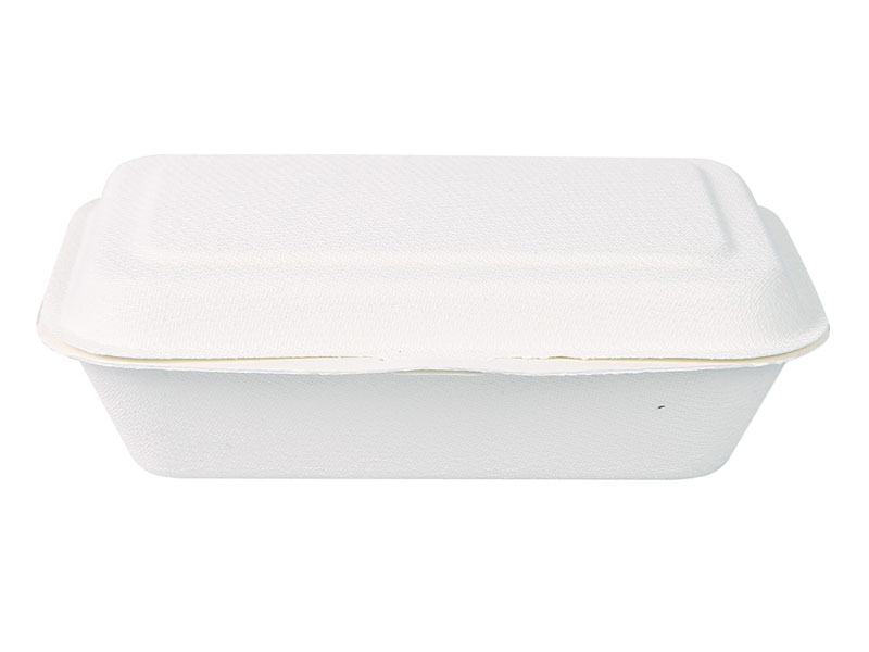 Bio Take-Away-Box "Single" Zuckerrohr
