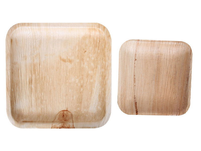 Bio Teller quadratisch Palmblatt