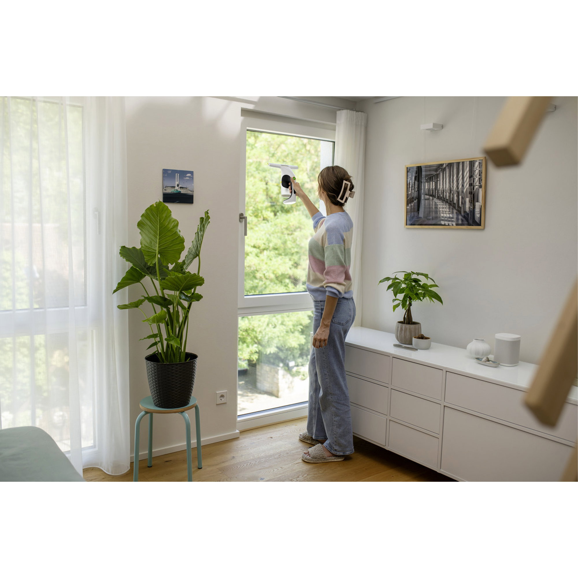 handheld steamer, Dampfgerät, Wohnungsgerät, Haushaltsgerät,  Zimmerpflanzen