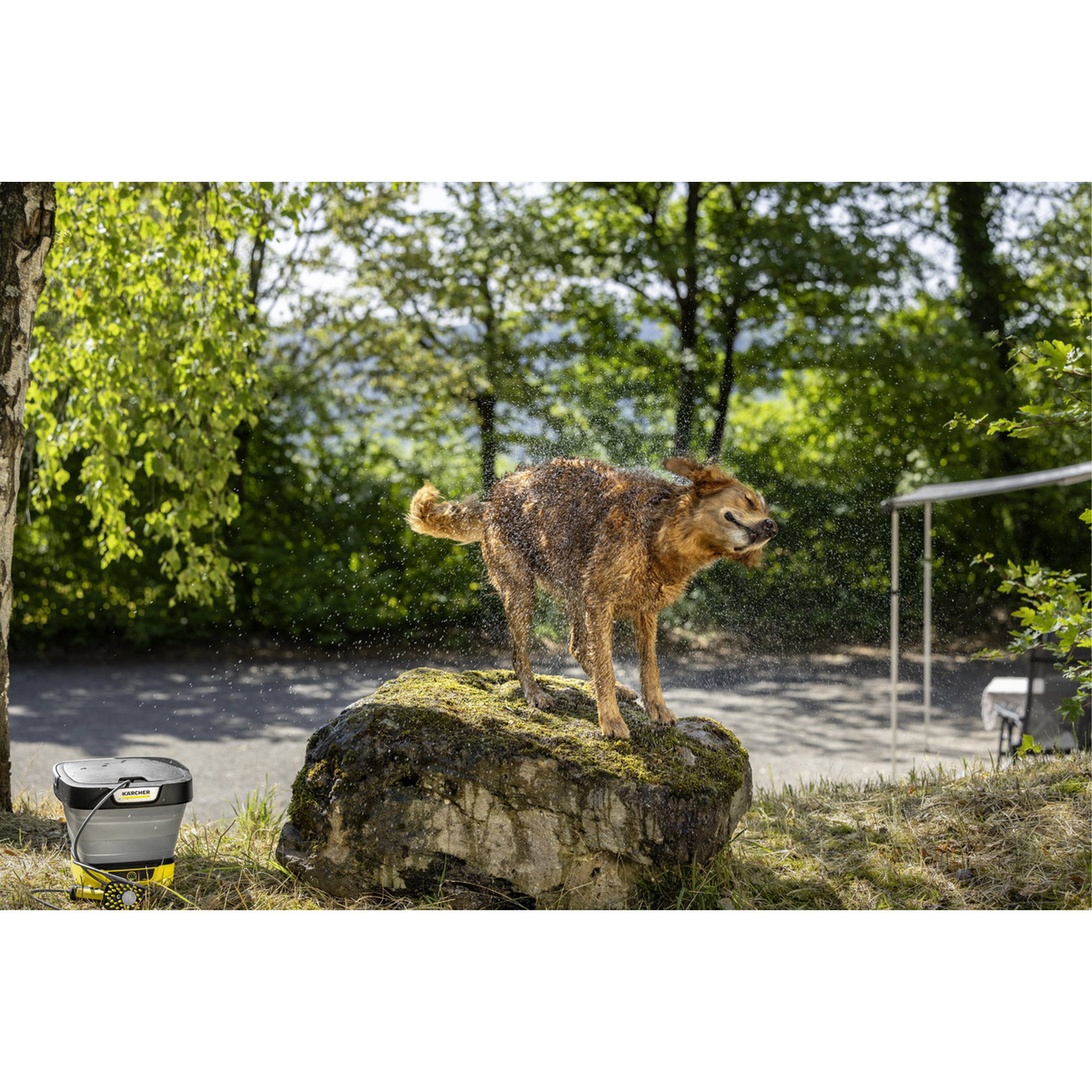 Hund, Hund auf Felsen, Wasserspray, Outdoor, Garten