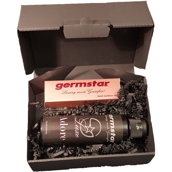 Germstar Desinfektionsspray LUXE Set