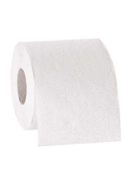 Toilettenpapier Recycling 2-lagig / 250 Blatt